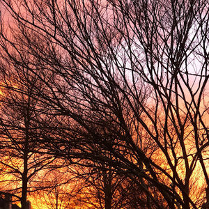 Meet your Posher, Viktoriya